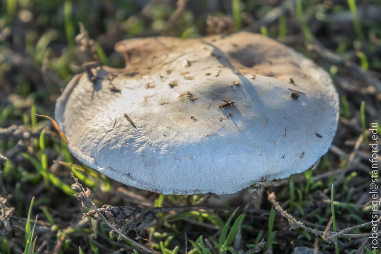 hayward regional shoreline